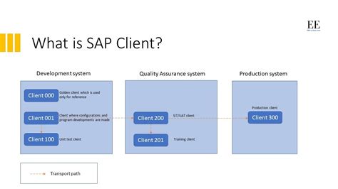 what is sap business client.